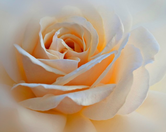 Sweet Heart