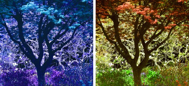2.colour play
