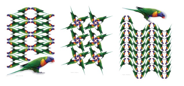 4.parrot patterns