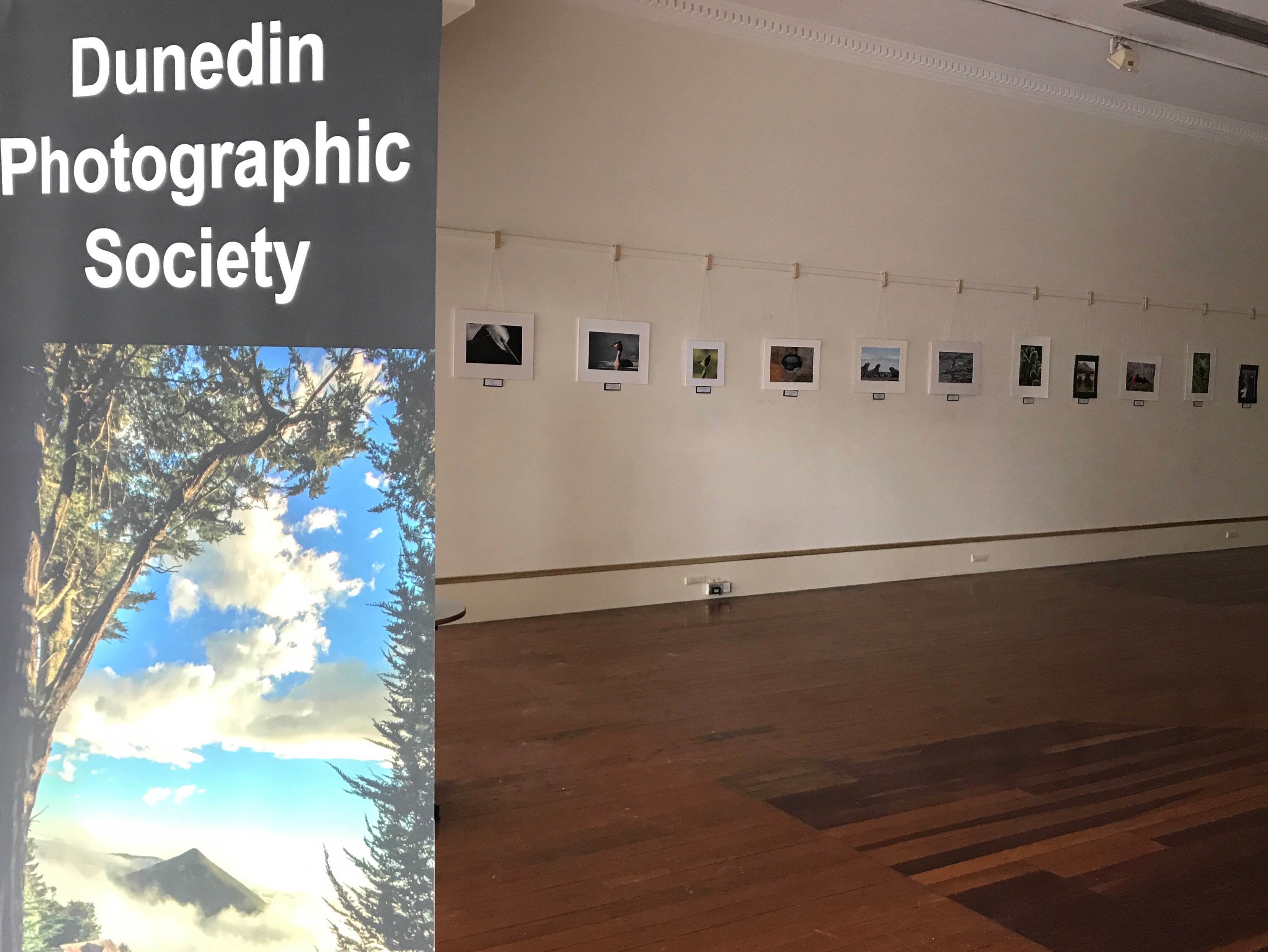 Spring print exhibition, Dunedin Community Gallery