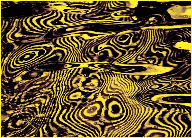 Disturbance