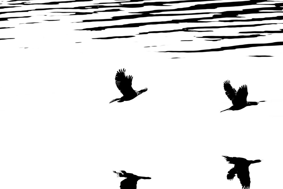 Its this way up I think