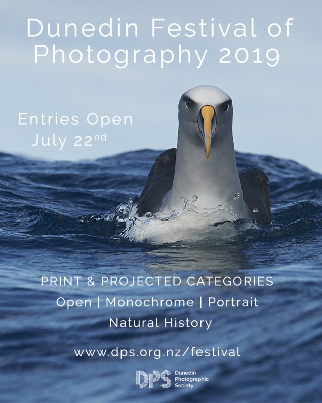 DPS Festival of Photography 2019